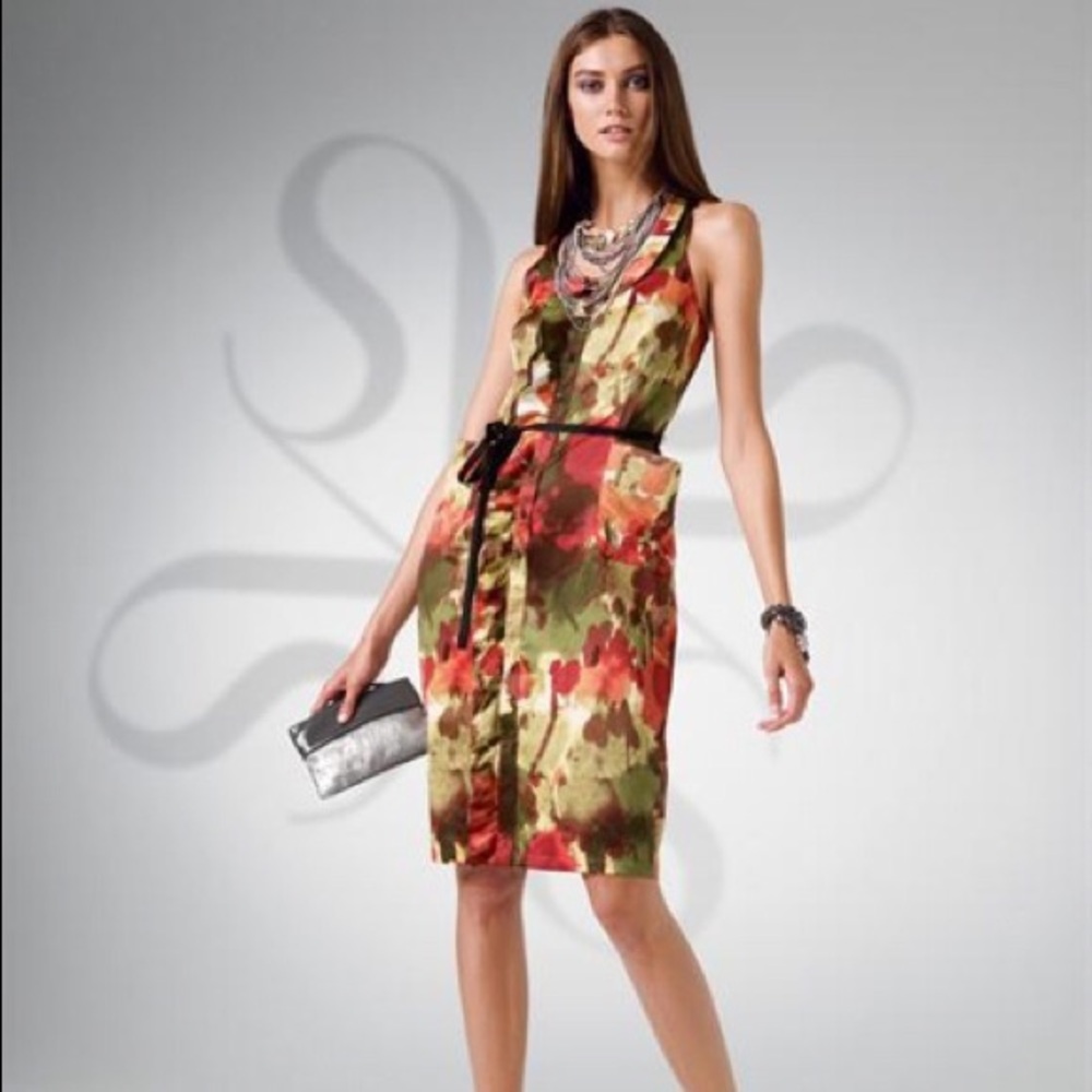 Vera Wang Ruffle Front Print Dress Sz 10